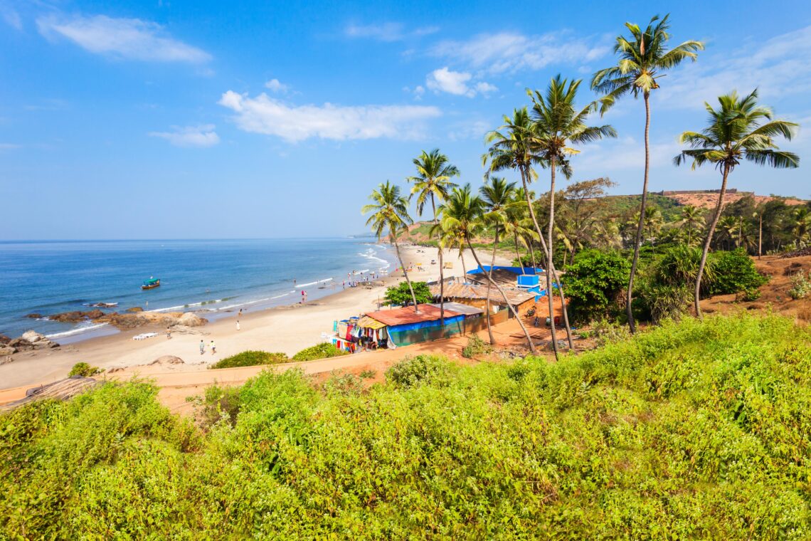 8 Reasons Why You Should Visit Goa