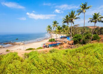 8 Reasons Why You Should Visit Goa