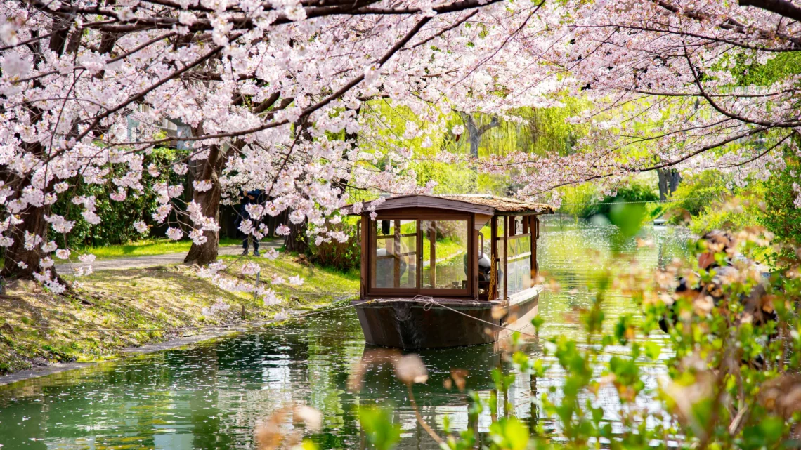 8 Best Things To Do In Japan | More Than Cherry Blossoms 8 Best Things To Do In Japan | More Than Cherry Blossoms