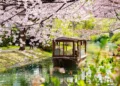 8 Best Things To Do In Japan | More Than Cherry Blossoms