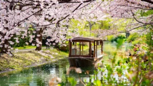 8 Best Things To Do In Japan | More Than Cherry Blossoms