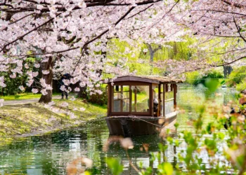 8 Best Things To Do In Japan | More Than Cherry Blossoms