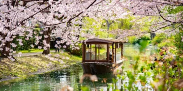 8 Best Things To Do In Japan | More Than Cherry Blossoms
