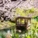 8 Best Things To Do In Japan | More Than Cherry Blossoms
