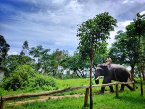7 Best Places To Visit In Coorg
