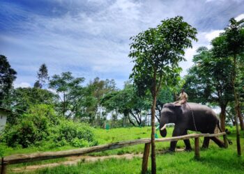 7 Best Places To Visit In Coorg