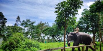 7 Best Places To Visit In Coorg