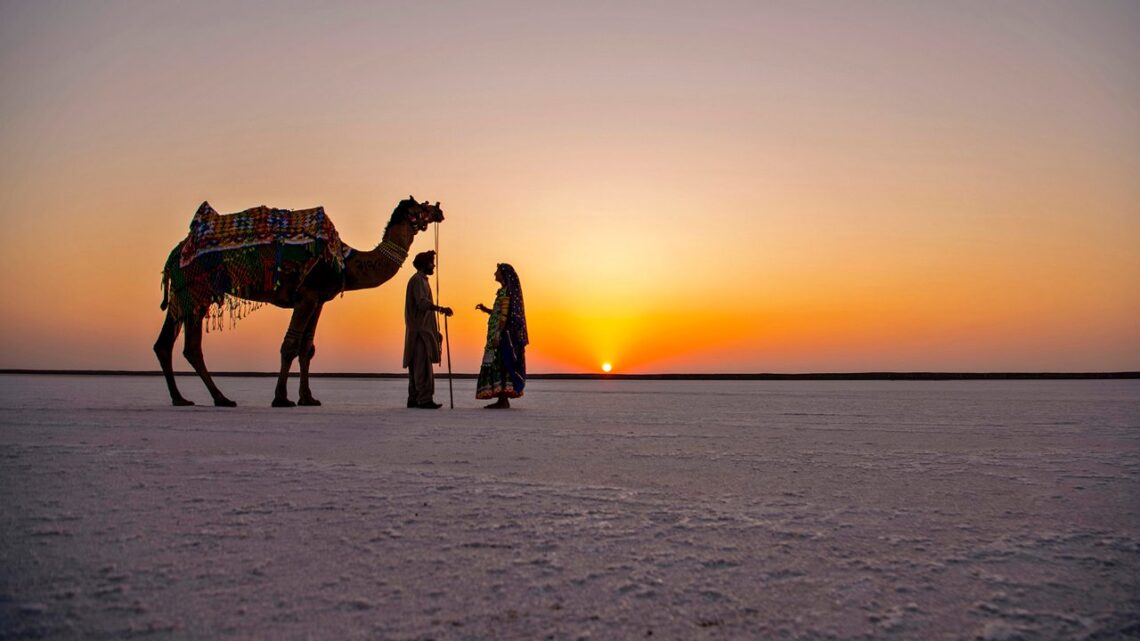8 Must-Visit Places In Gujarat: A Journey Through Enchanting Diversity