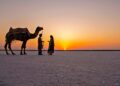 8 Must-Visit Places In Gujarat: A Journey Through Enchanting Diversity 8 Must-Visit Places In Gujarat: A Journey Through Enchanting Diversity