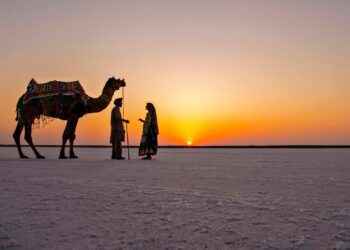 8 Must-Visit Places In Gujarat: A Journey Through Enchanting Diversity