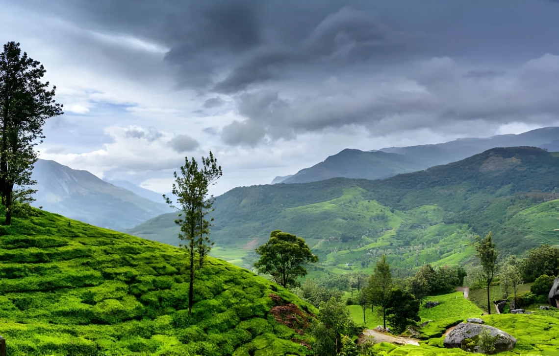The 8 Best Places to Visit in Wayanad | Edakkal Caves, Chembra Peak...