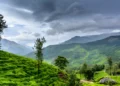 The 8 Best Places to Visit in Wayanad | Edakkal Caves, Chembra Peak... The 8 Best Places to Visit in Wayanad | Edakkal Caves, Chembra Peak...