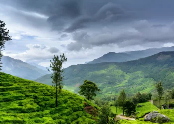 The 8 Best Places to Visit in Wayanad | Edakkal Caves, Chembra Peak...