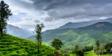 The 8 Best Places to Visit in Wayanad | Edakkal Caves, Chembra Peak...