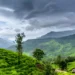 The 8 Best Places to Visit in Wayanad | Edakkal Caves, Chembra Peak...