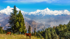 10 Essential Travel Tips For Exploring Uttarakhand