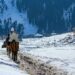 Heaven On Earth: 6 Best Places In The Paradise Of Kashmir