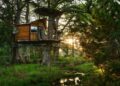 10 Most Luxurious Treehouse Hotels In North America