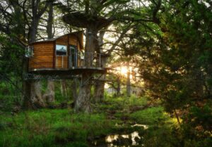 10 Most Luxurious Treehouse Hotels In North America