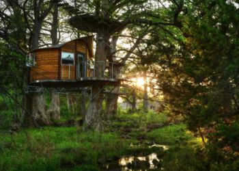 10 Most Luxurious Treehouse Hotels In North America
