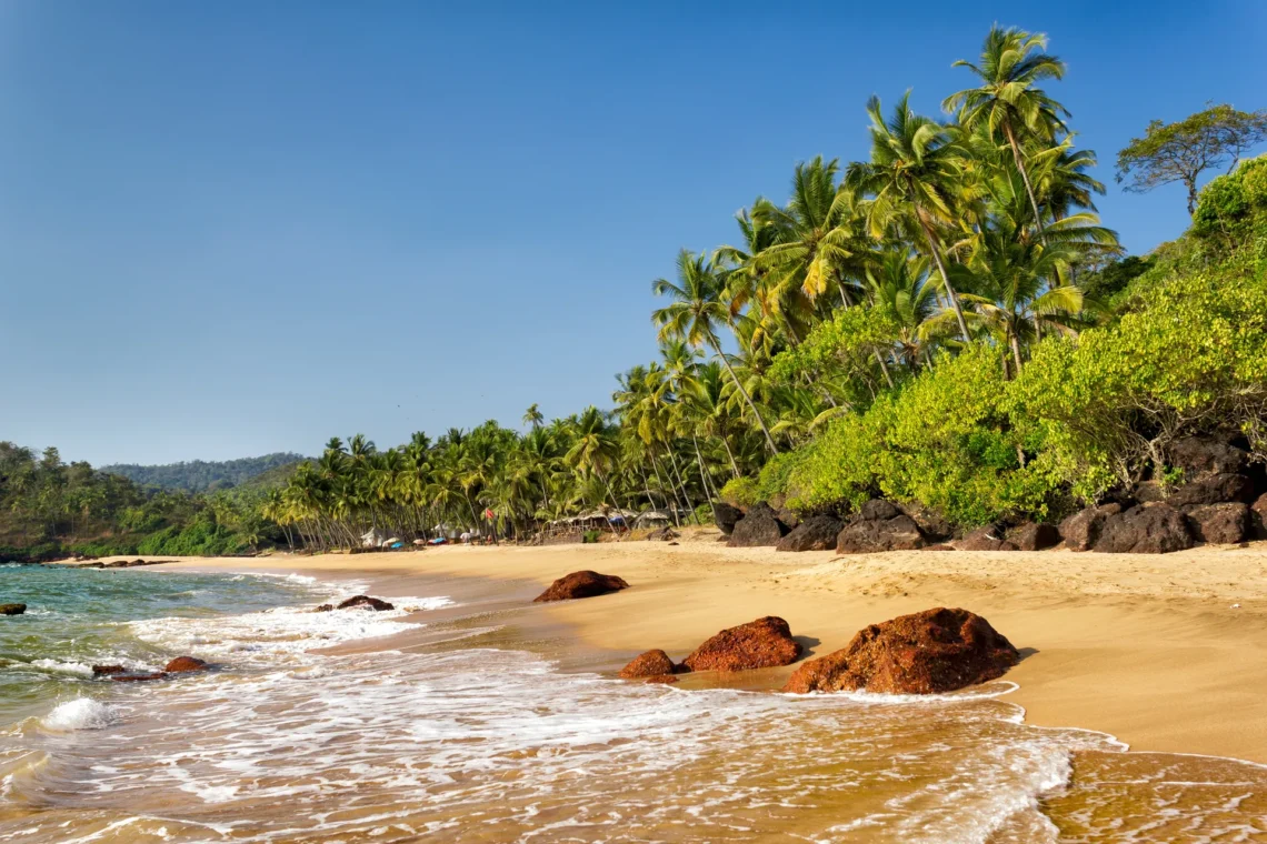 8 Reasons Why You Should Visit Goa 8 Reasons Why You Should Visit Goa