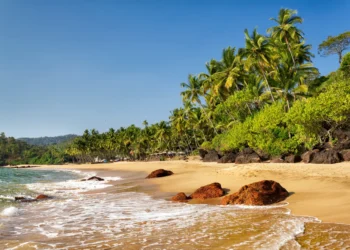 8 Reasons Why You Should Visit Goa