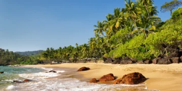 8 Reasons Why You Should Visit Goa