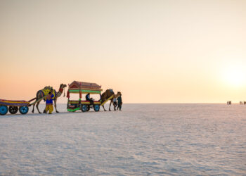 5 Places That You Should Visit In Gujarat