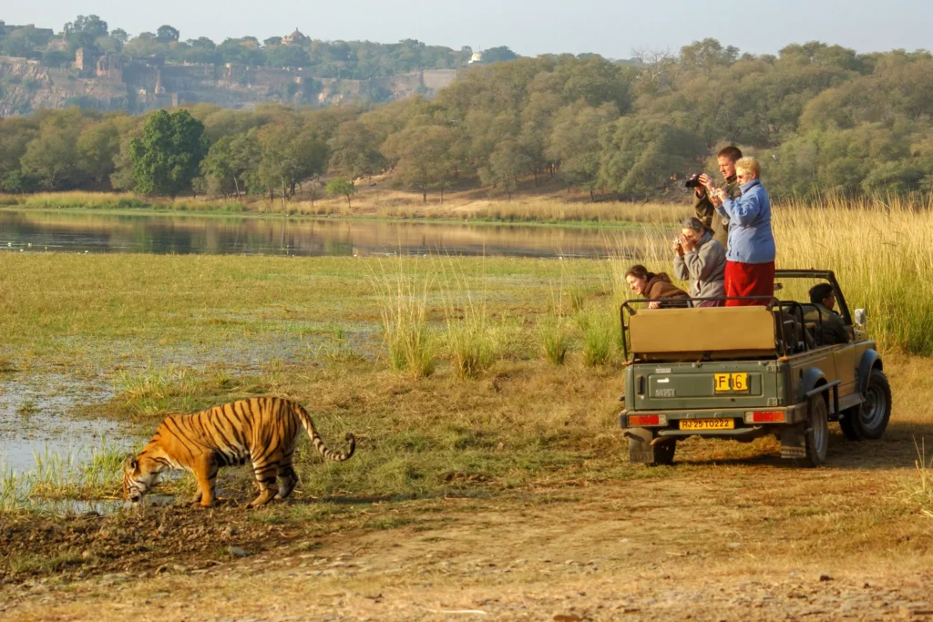 Wildlife Encounters: Discover Breathtaking Fauna In These 10 National Parks Of India
