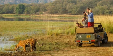 Wildlife Encounters: Discover Breathtaking Fauna In These 10 National Parks Of India