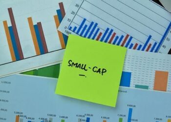 What investors should know before choosing small-cap funds What investors should know before choosing small-cap funds