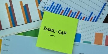 What investors should know before choosing small-cap funds