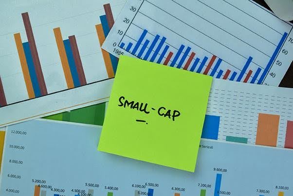 What investors should know before choosing small-cap funds What investors should know before choosing small-cap funds