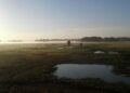 Morning sunlight over fields in India