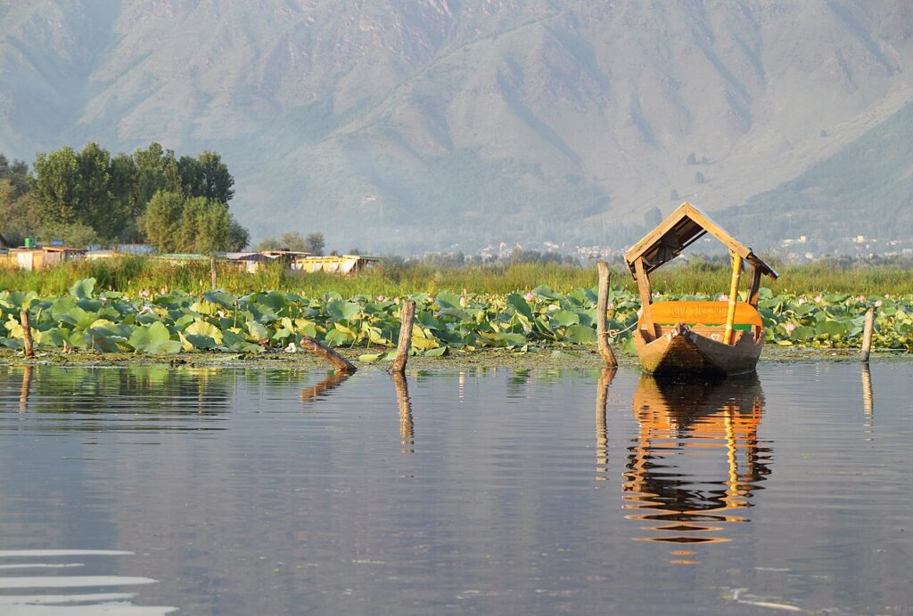 Shikara boats on Dal Lake in Srinagar, Jammu and Kashmir