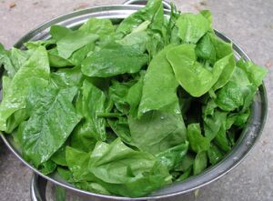 Anaemia in India: Signs, Causes and Iron-Rich Indian Foods