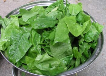 Anaemia in India: Signs, Causes and Iron-Rich Indian Foods Fresh green spinach leaves, a common iron-rich vegetable in Indian kitchens