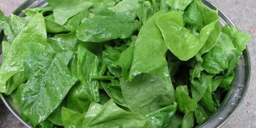 Fresh green spinach leaves, a common iron-rich vegetable in Indian kitchens