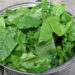 Fresh green spinach leaves, a common iron-rich vegetable in Indian kitchens