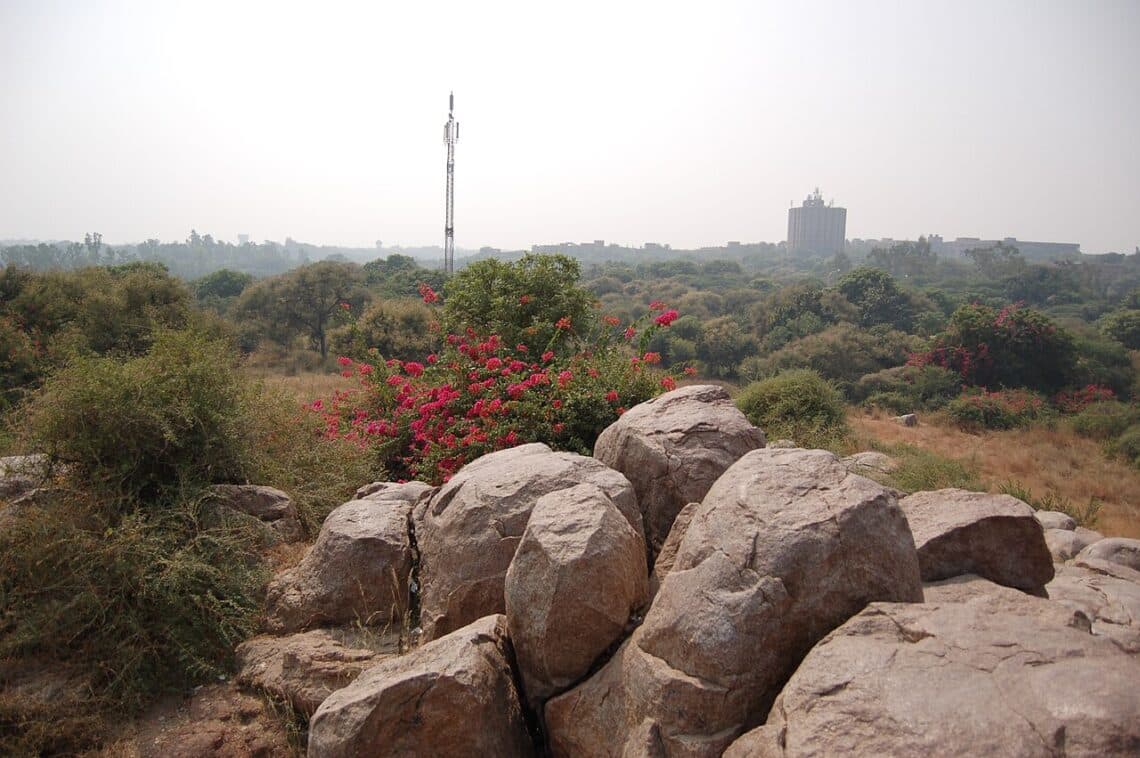Jawaharlal Nehru University campus in New Delhi