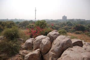 7 Benefits of Studying at a Central University in India