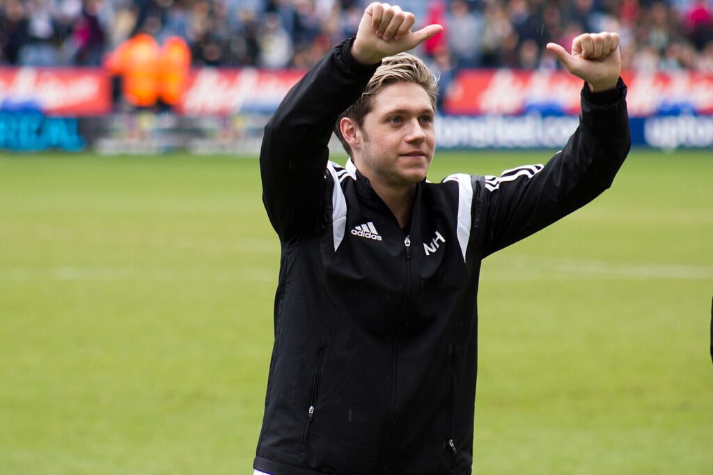 Niall Horan performing on stage
