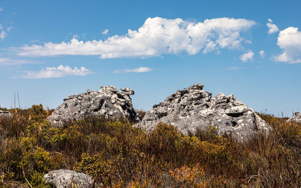 Table Mountain rising above Cape Town, a highlight of any South Africa travel guide