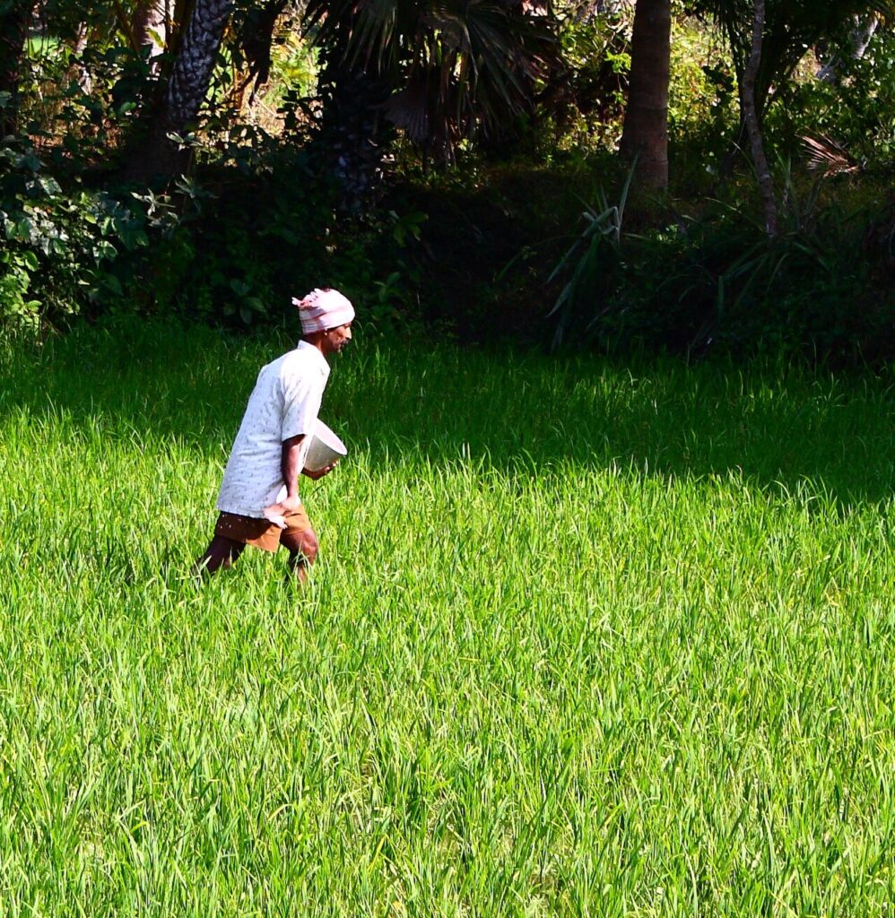 Farmer working in a field in India, where agritech platforms help with quality, inputs and sales
